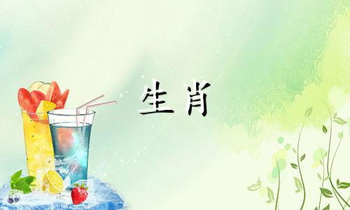 小鸡女孩怎么看丈夫不陪她回娘家