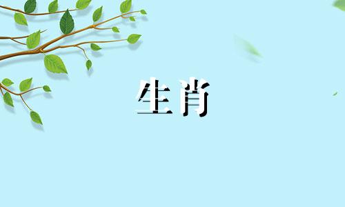 公鸡在向某人求婚时不在乎丢脸。