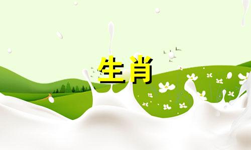 为什么鸡不怕和恋人冷战