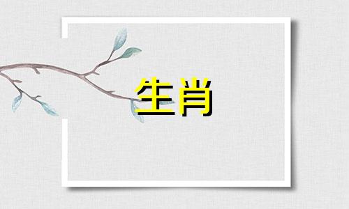 鸡对未婚怀孕有什么看法