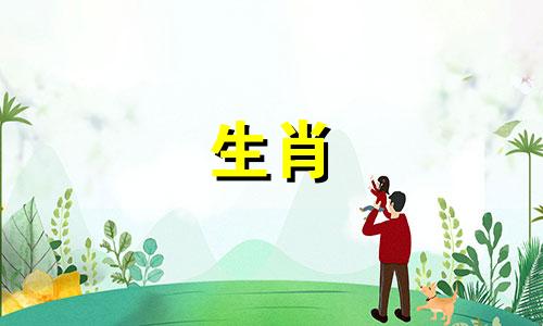 马女人应该嫁给羊男人吗?