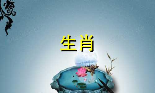 小鸡爱一个人时会做什么蠢事