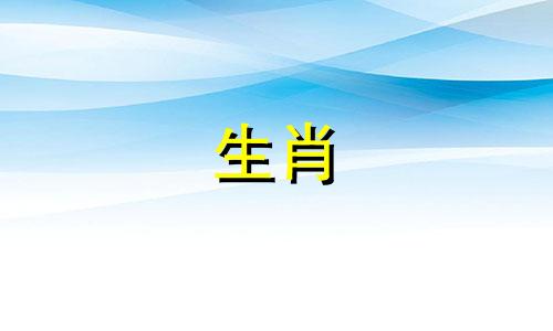 小鸡女友最看重男友身体的哪一点
