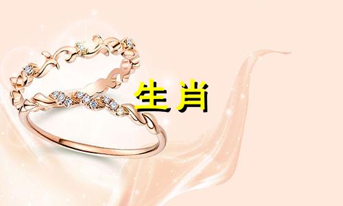 小鸡男找女朋友最重要的是什么?