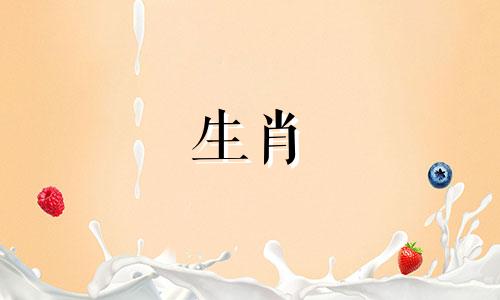 鸡到底有多努力想让男人回来