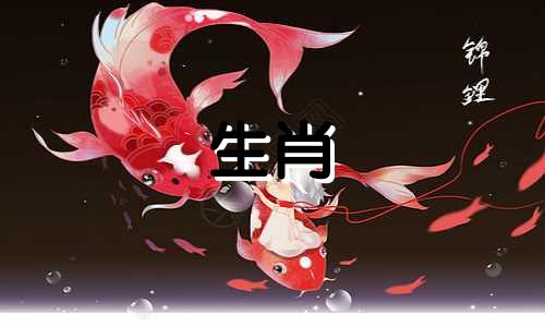 小鸡认为好的友谊是什么样的?