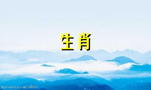 属鼠男人和狗女人相配吗?