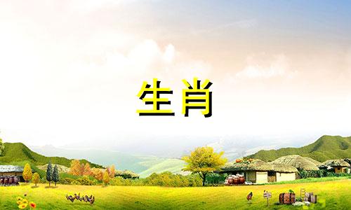 属马的男人和属龙的女人可以相处吗?