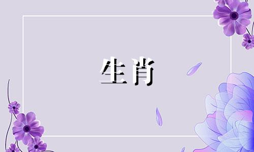 “马男”和“兔女”合得来吗?