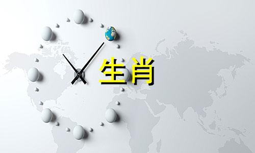 男人属于马,女人属于属龙匹配吗?