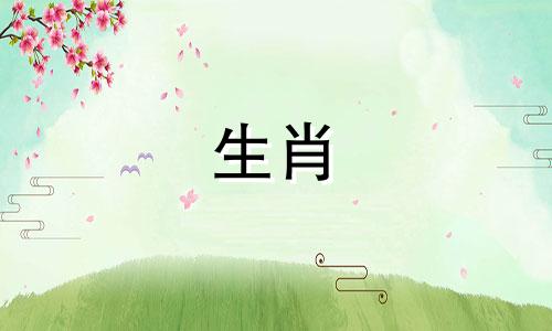 一个山羊女人和一个山羊男人?