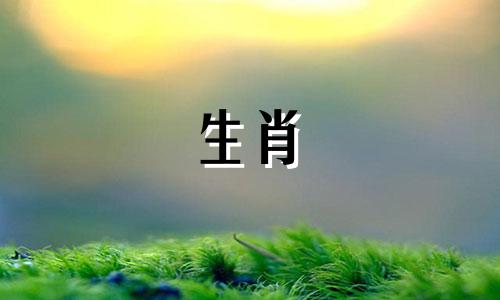 猴和蛇不相容,为什么蛇和猴相容又不相容