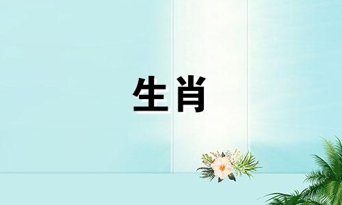 属羊的女人会嫁给属龙的男人吗?