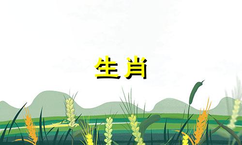 雌属龙和雄兔结婚合适吗?