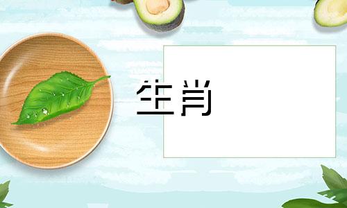 男人是马,女人是属龙?