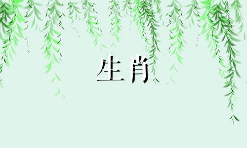 男人是马,女人是马吗?