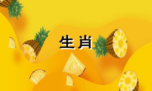 男人属于马，女人属于兔子吗?