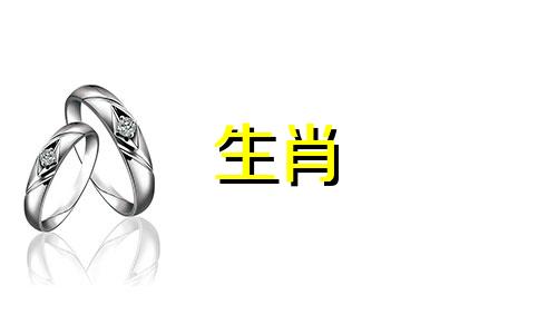 兔子办公室里放了什么?