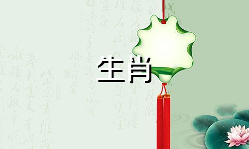 爱狗的男人和爱羊的女人相配吗?