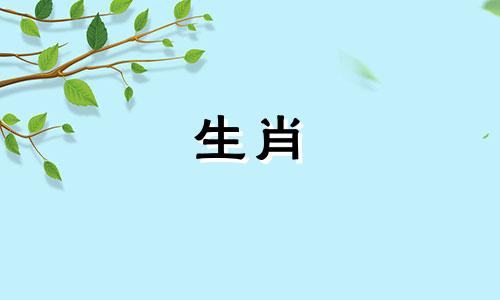 生肖鼠的方向不宜走,鼠人的运势方向