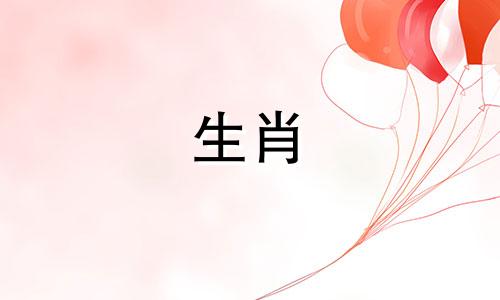 狗男和猪女结婚合适吗?