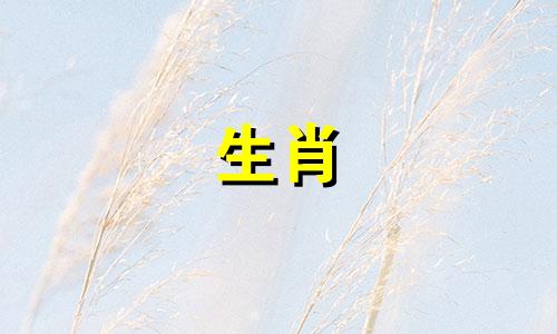 猪男和属龙女相配吗?属龙和猪的婚姻如何匹配?