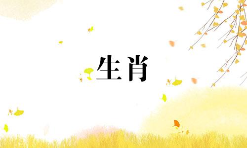 属猴男和属猴女相配吗?