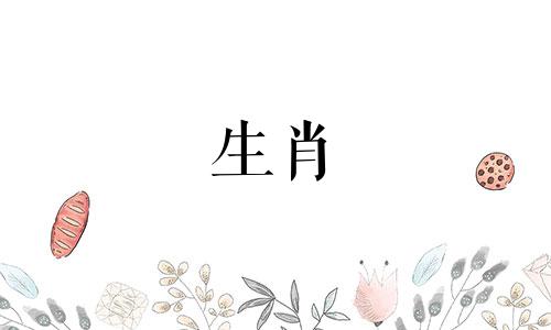 猪和属猴匹配吗?生肖猪猴结婚的后果