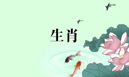 苏敏峰2021鸡生肖运势预测