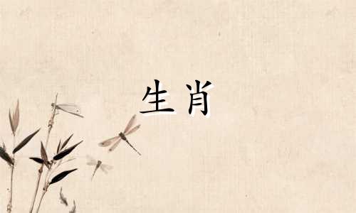 你和一只鸡的初恋是什么感觉?