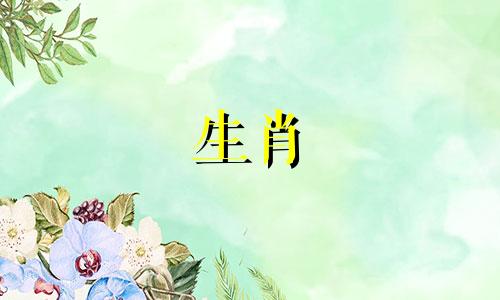 鸡年什么时候出生生肖鸡的出生时间命运最好的生活