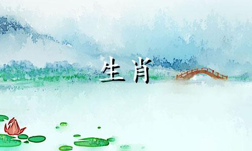 2005年、2020年和黑客年属鸡的人