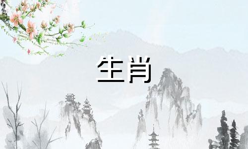 失败的爱情教会了小鸡什么