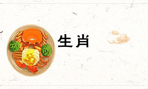 一只鸡每天都在想什么?