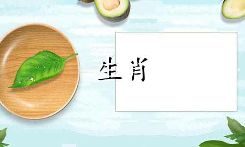 鸡是哪一年,哪一个月?