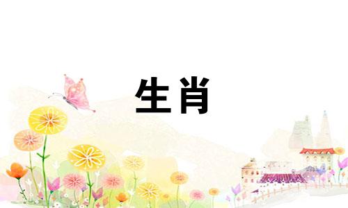 小鸡女人如何考验暧昧男人的心