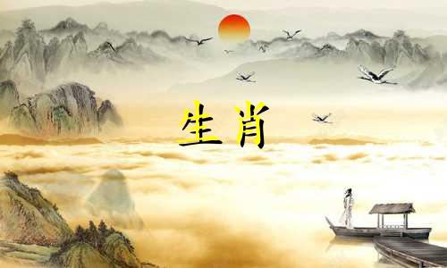 这只鸡今年多大了?2019年你应该如何提升自己的运气呢?