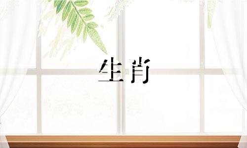 小鸡女如何与女主人战斗