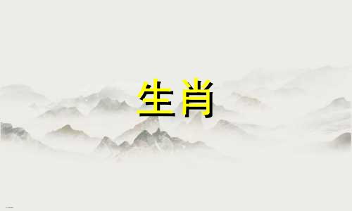 如何分析猪年鸡的运势