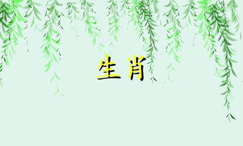 小兔子和小属鼠会发生冲突吗?