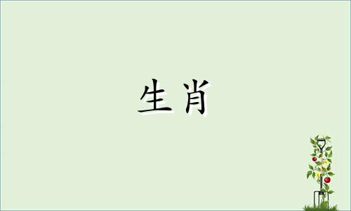 鸡男在女生面前的表现是什么?