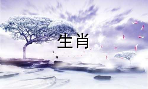 属鸡的男人和属虎的女人相配吗?