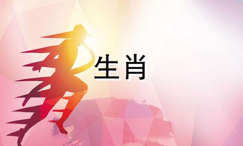 公鸡男人和狗女人相配吗?