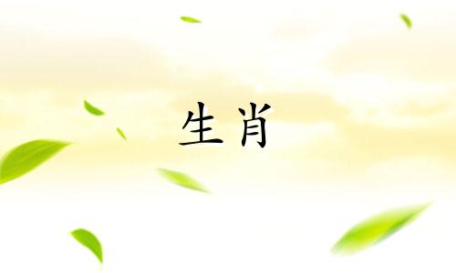 1982年出生的人的生活是怎样的?他是82年的狗女人,他的余生幸福吗?