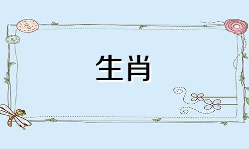 你的公鸡前任教会了你什么