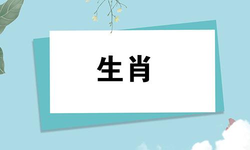 狗和属猴的婚姻怎么样，公猴和母狗的婚姻能长久吗?