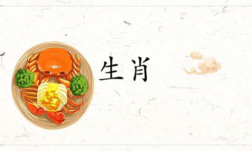 2020鸡年鼠年会有痛苦吗?