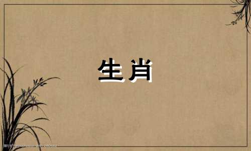 为什么属猴不向现实低头