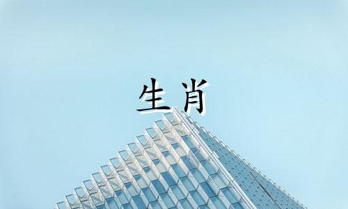 属猴理想的婚姻生活是什么