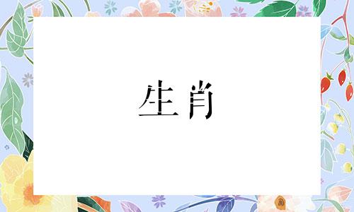 猴女如何面对出轨的丈夫